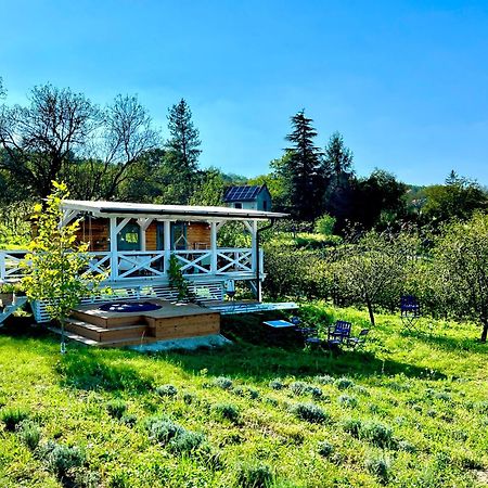 Bohemian Eco Lodge At Lake Balaton Kisapati Екстериор снимка