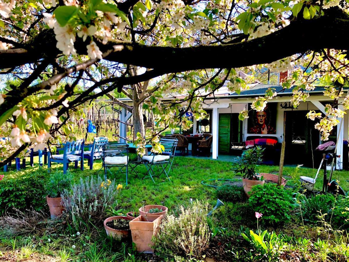 Bohemian Eco Lodge At Lake Balaton Kisapati Екстериор снимка
