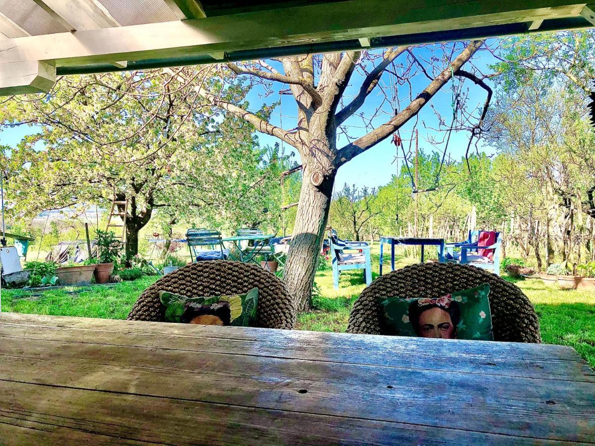 Bohemian Eco Lodge At Lake Balaton Kisapati Екстериор снимка