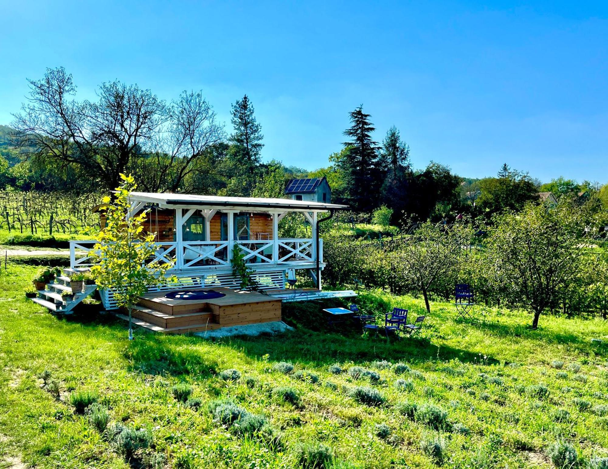 Bohemian Eco Lodge At Lake Balaton Kisapati Екстериор снимка